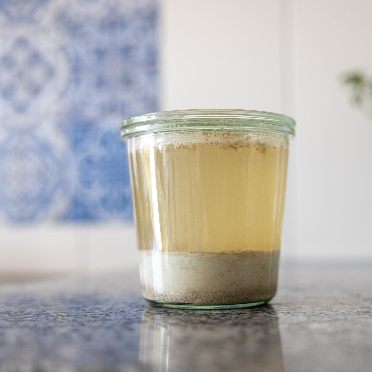 The Explorer Starter: A World-Traveled Dehydrated Sourdough Starter