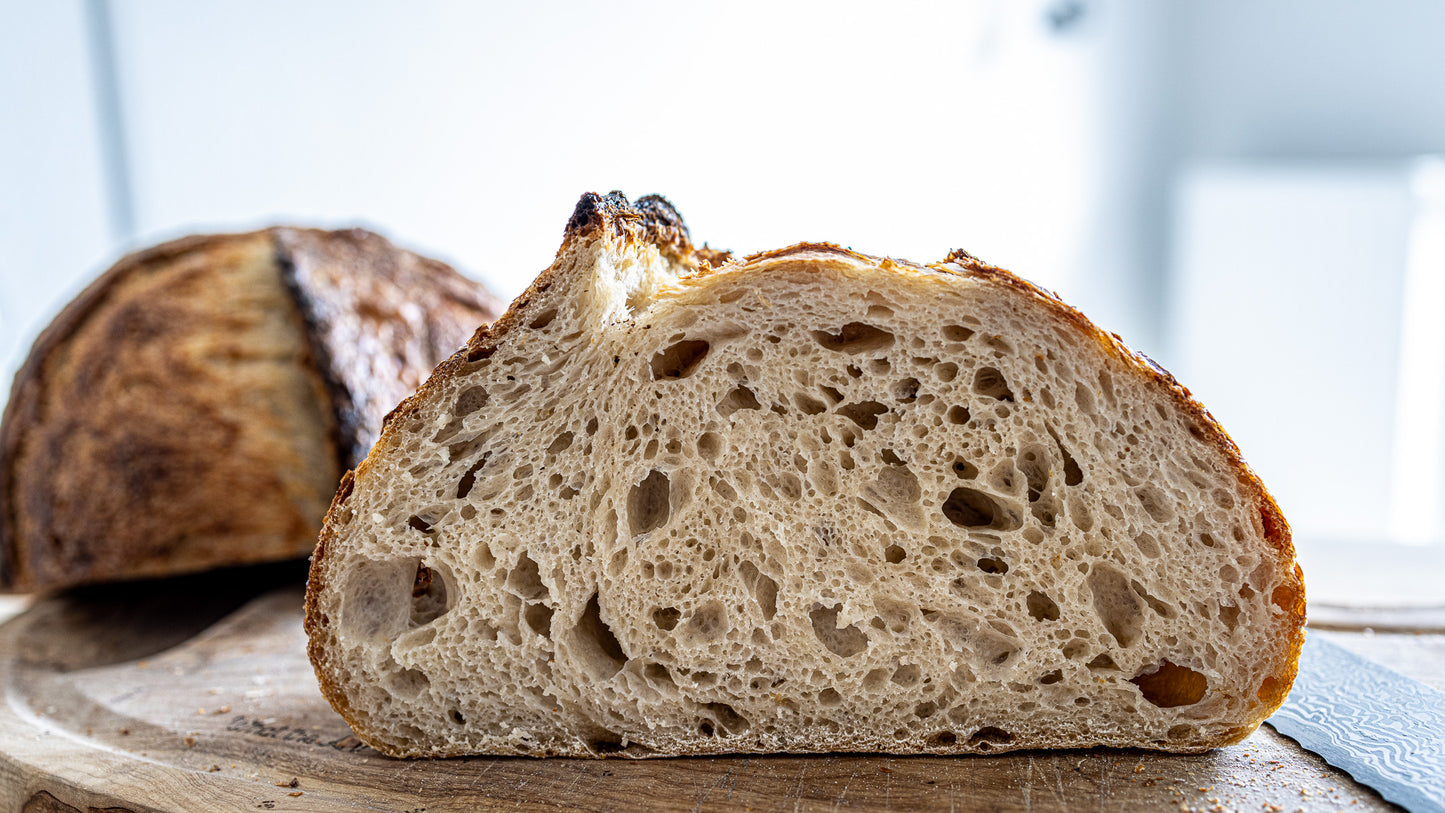 The Explorer Starter: A World-Traveled Dehydrated Sourdough Starter