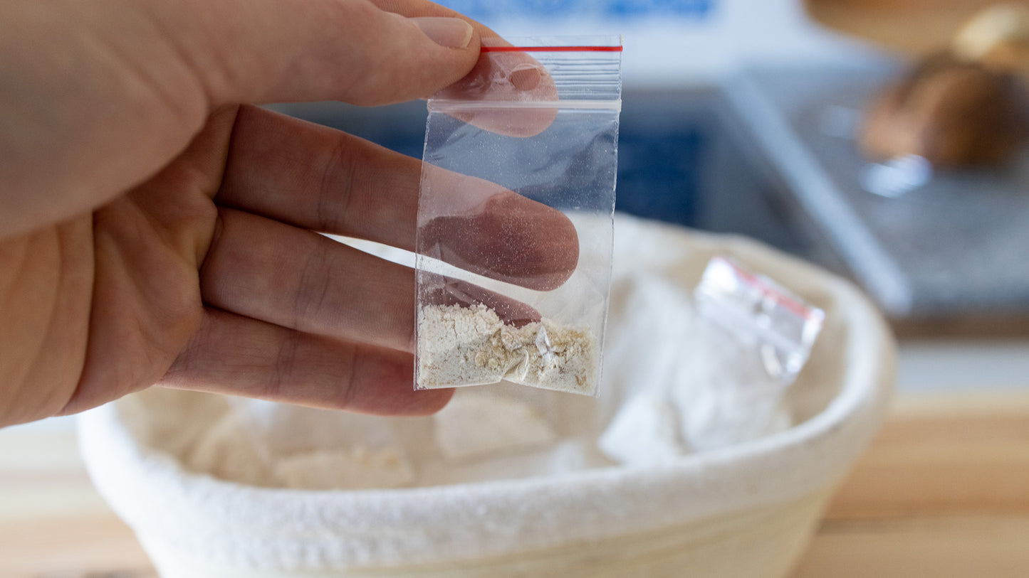 The Explorer Starter: A World-Traveled Dehydrated Sourdough Starter