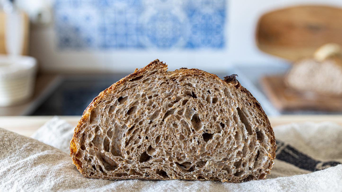 The Explorer Starter: A World-Traveled Dehydrated Sourdough Starter