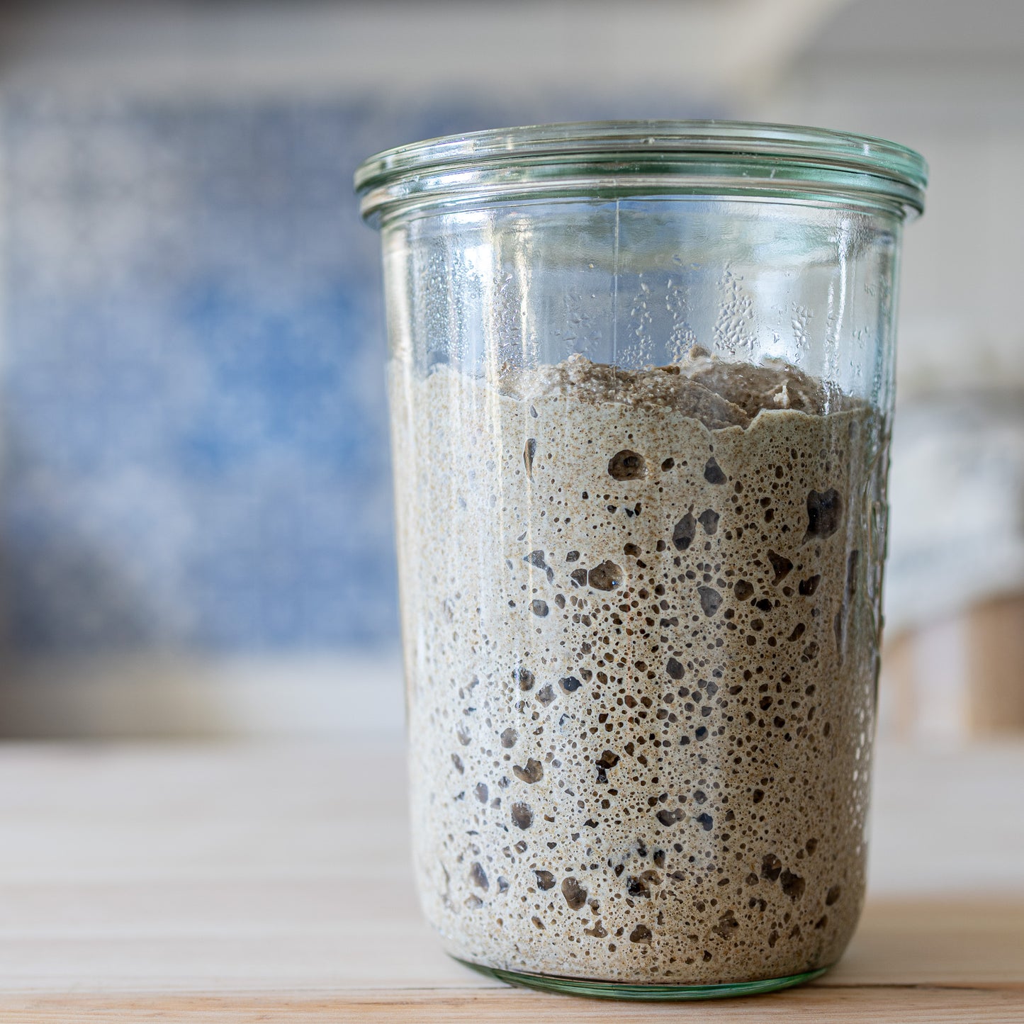 The Explorer Starter: A World-Traveled Dehydrated Sourdough Starter