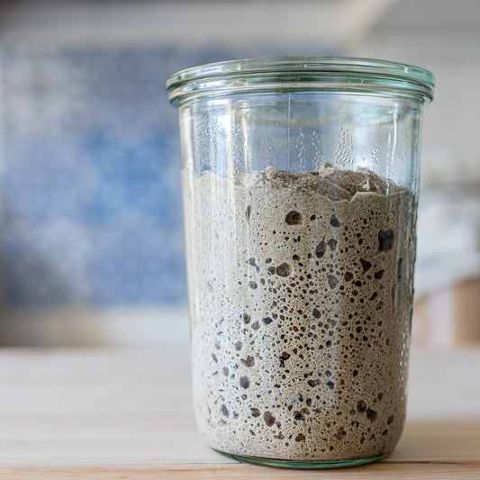 The Explorer Starter: A World-Traveled Dehydrated Sourdough Starter