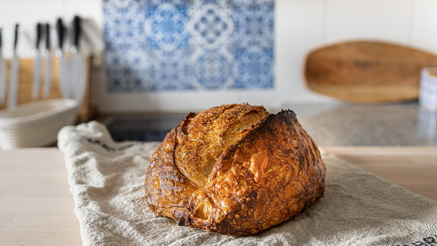 The Explorer Starter: A World-Traveled Dehydrated Sourdough Starter