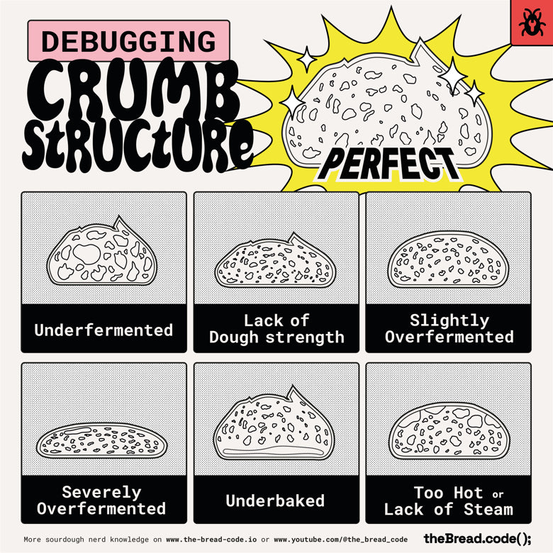 Crumb Structure Infographic (folded poster)
