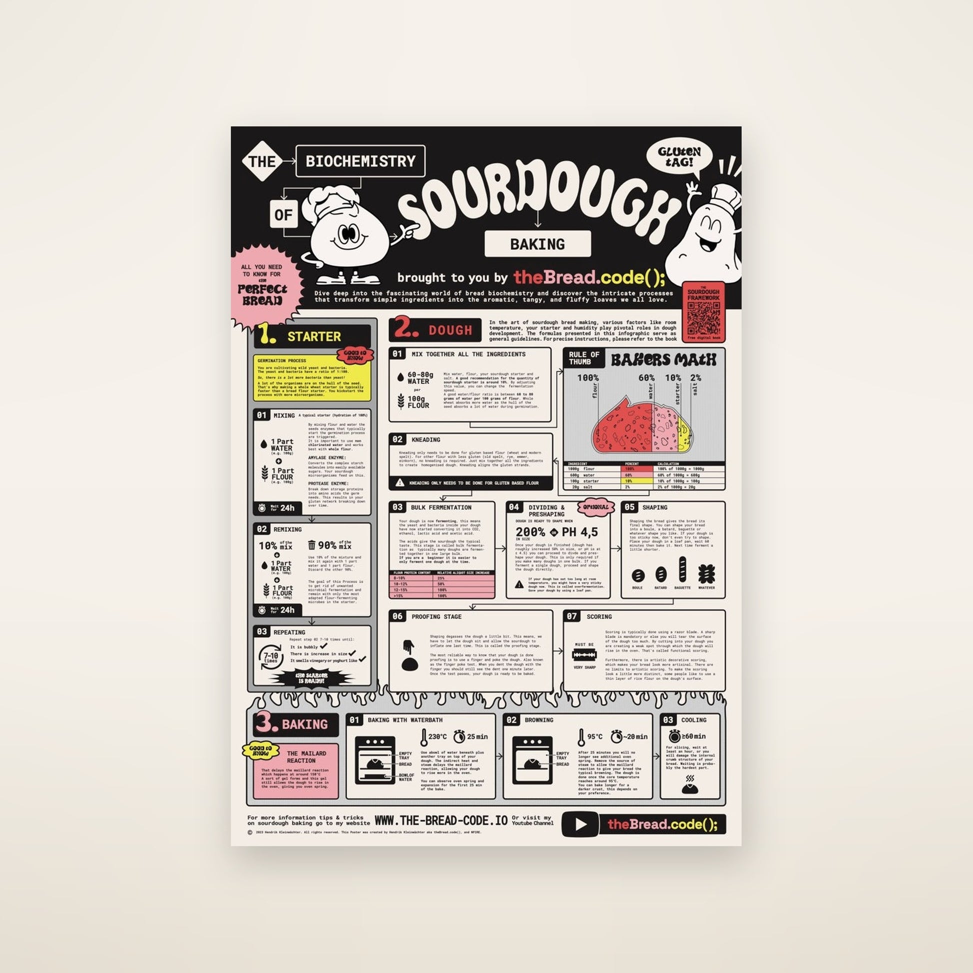 Sourdough Biochemistry infographic — folded poster