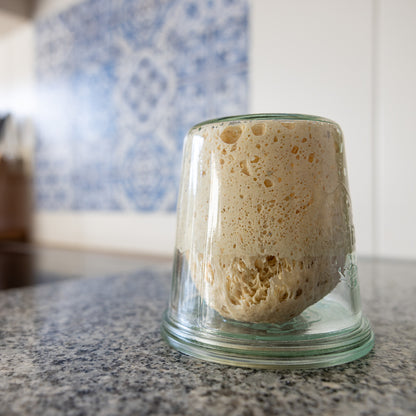 A lively sourdough starter risen so strong it holds its shape in an upturned jar