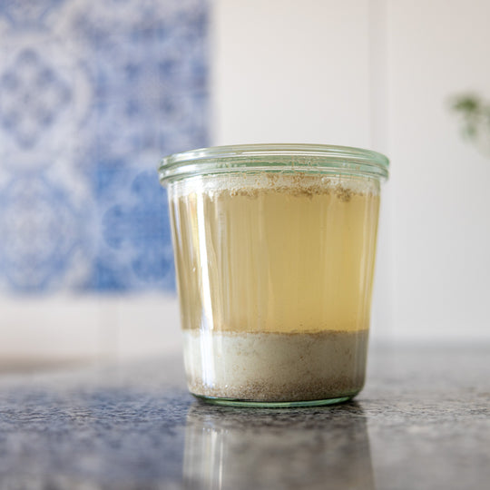 The Explorer sourdough starter