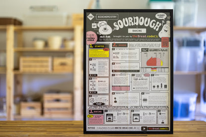 The framed Biochemistry of Sourdough poster displayed on a kitchen shelf