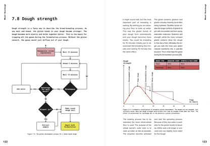 Inside spread: understanding sourdough dough strength, with a gluten-development flowchart and fermentation chart