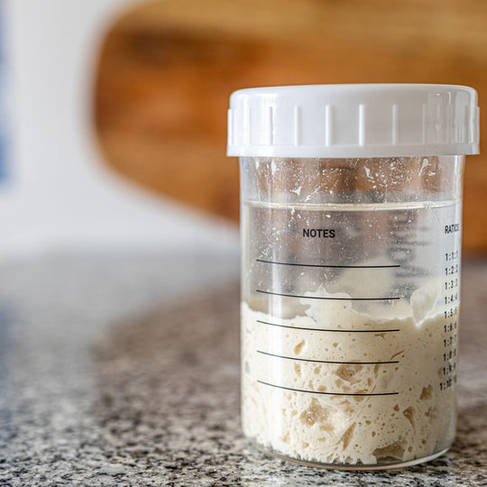 The Explorer sourdough starter