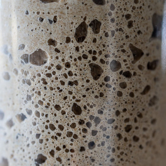 The Explorer Starter: A World-Traveled Dehydrated Sourdough Starter