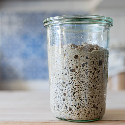 The Explorer Starter: an active, bubbling sourdough starter in a glass Weck jar on a kitchen counter