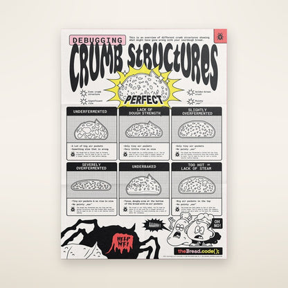 Crumb Structure infographic — folded poster