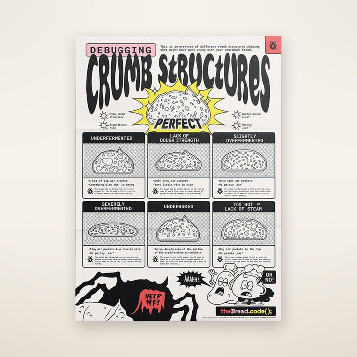 Crumb Structure Infographic (folded poster)