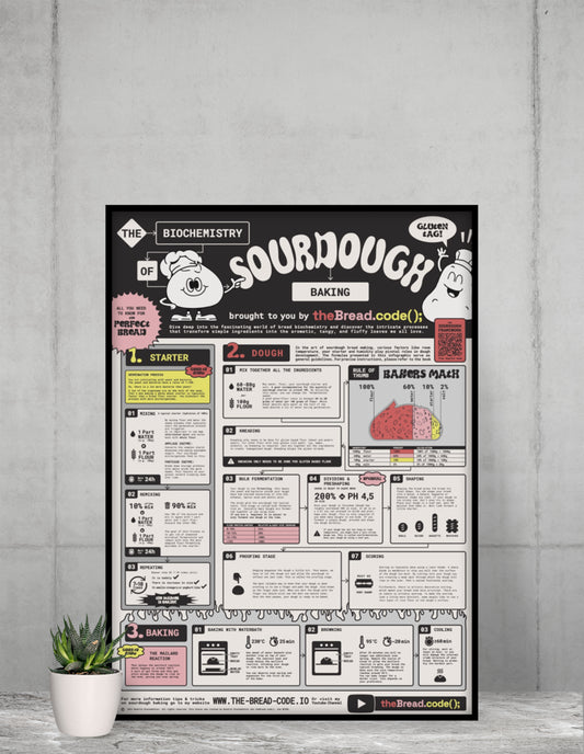Sourdough Biochemistry Infographic (folded poster)