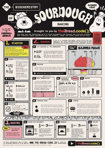 The Biochemistry of Sourdough Baking infographic — starter, dough and baking science explained in one chart