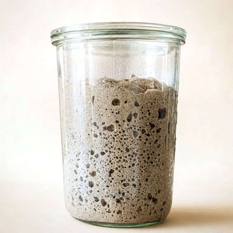 The Explorer dehydrated sourdough starter in a glass jar